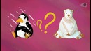 В чем разница между Арктикой и Антарктикой(TED Ed)
