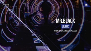 Mr.Black – Lights