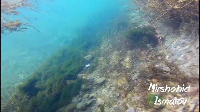 Видео под водой. Suv osti manzarasi. Test EKEN H9