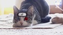 Лучшие приколы 2018 [Fun Army] Февраль