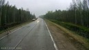 Лось перебегает дорогу – Moose is crossing the road