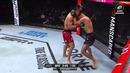 UFC Fight Night 248: Петр Ян – Дейвисон Фигейреду (ПРЕДВАРИТЕЛЬНЫЙ КАРД) 23.11.2024 | Yan vs. Figueiredo