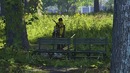 The Division 2 «Баги, Приколы, Фейлы»