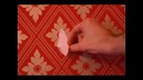 10 приколов, которыми вы всегда можете удивить друзей