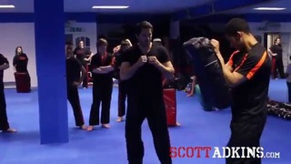 Scott Adkins Power Kicking Seminar