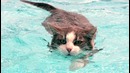 Почему кошки не любят воду