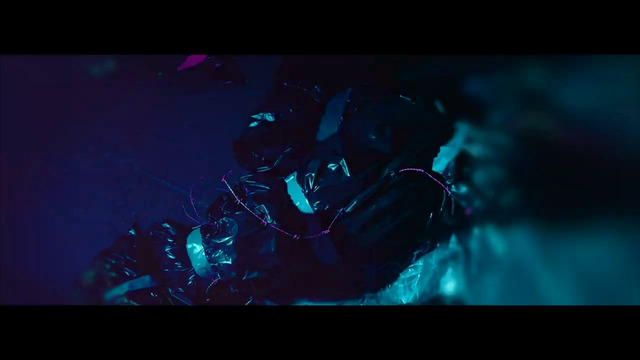 Veil Of Maya – Synthwave Vegan (Official Music Video 2022)
