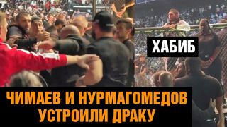 Чимаев и Нурмагомедов подрались после победы Махачева / Реакция Хабиба