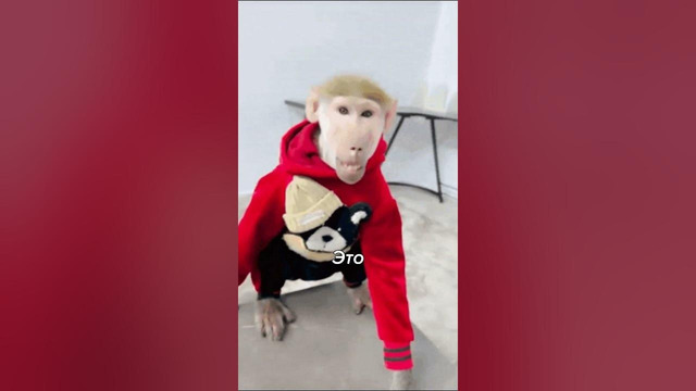 А КАКИЕ Слова на Букву Ы вы Знаете? #shorts