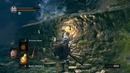 Прохождение Dark Souls – Part 9