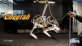 Робот – гепард