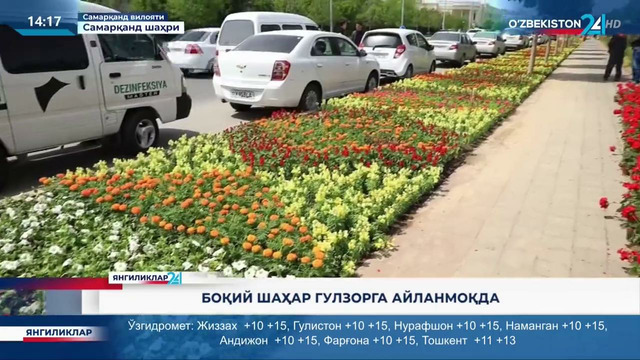 Янгиликлар 24 | Боқий шаҳар гулзорга айланмоқда