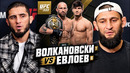 Махачев, Хамзат и звёзды UFC дают прогнозы на бой Евлоев vs Волкановски