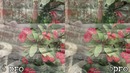 Redmi 6 Pro vs Redmi Note 5 Pro Camera Test Comparison