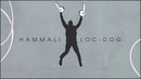 HammAli, Loc-Dog – Любимая песня