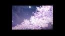 AMV by BEAST