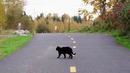 Животные, которым реально повезло