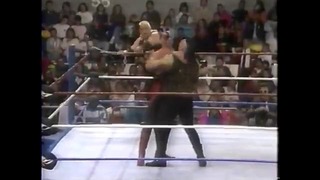 WWF Legion of doom vs Nasty Boys