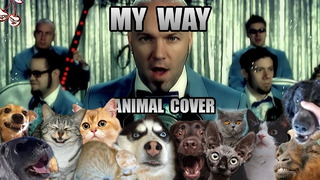 Limp Bizkit – My Way (Animal Cover)