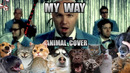 Limp Bizkit – My Way (Animal Cover)