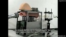 Рот професора Доуэля