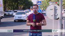 Никто не видел тётю «свету»