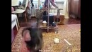 Лучшие приколы за неделю (выпуск 40)