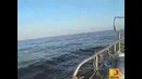 Рыбаки засняли как НАСА пытались сбить НЛО