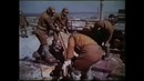 Район действий – Чернобыль (1987)