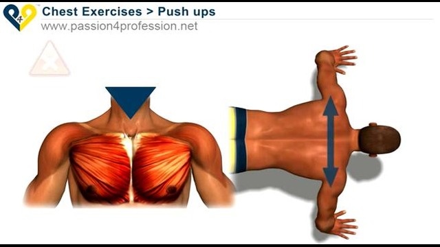 Home chest exercise Push Up