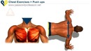 Home chest exercise Push Up