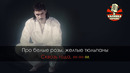 Дима Билан – Про белые розы (Караоке)