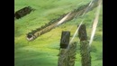 Звездный герб / Crest of the Stars [ТВ-1] 10 – Серия