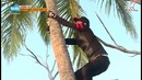 Law of the Jungle in New Caledonia – Episode 1 (220)