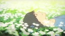 AMV – A Palm of a Tiny Hand