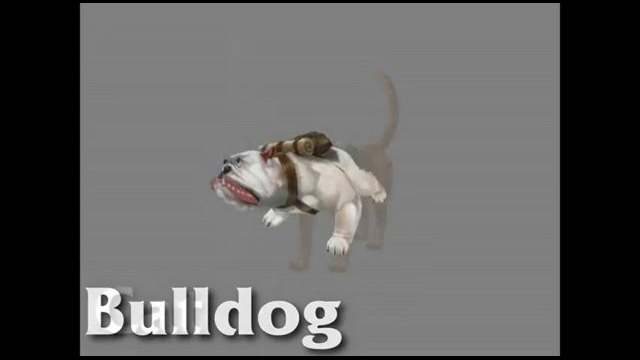 Pets of Torchlight II