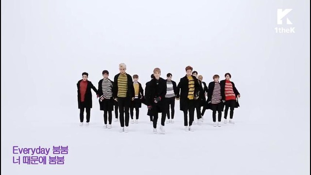 Mirrored | Seventeen – BoomBoom (choreography)