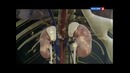 Наука 2.0. Приключения тела. Испытание высотой
