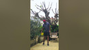 Man Performs Amazing Trick with Golf Ball And Club