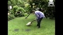 Дрессированная утка