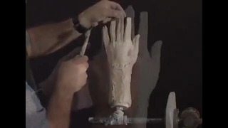 Sculpting The Hand
