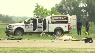 15 человек погибли в результате столкновения фуры и микроавтобуса в Канаде