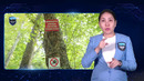 O‘z vaqtida ko‘rilgan chora 13 yoshli bolaning hayotini saqlab qoldi