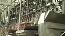 «Птичий грипп на пороге»: Бразилия боится за свою отрасль экспорта мяса птицы