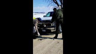 Bald Eagle Stuck In Truck Gets Rescued | People Are Awesome #shorts