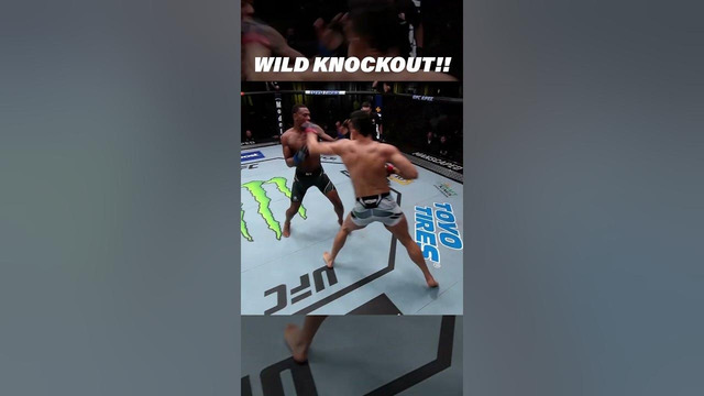 Jamahal Hill’s WILDEST Knockout