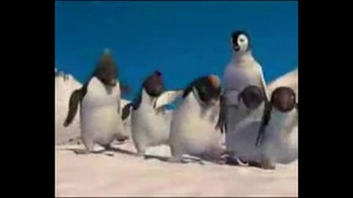 Лезгинка от Пингвинов