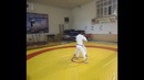 Aykido jang sanati