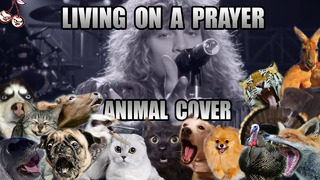 Bon Jovi – Livivng On A Prayer (Animal Cover)