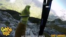 Combo VINE #17